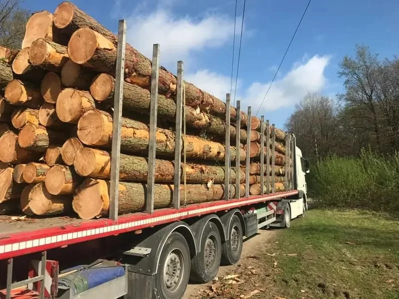 Buchen-Stammholz – Lose LKW-Ladung (Längen 3–10 m)